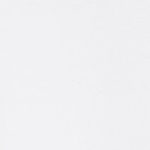 AAMERICANLOGO-color-02