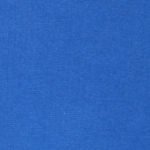 AAMERICANLOGO-color-22